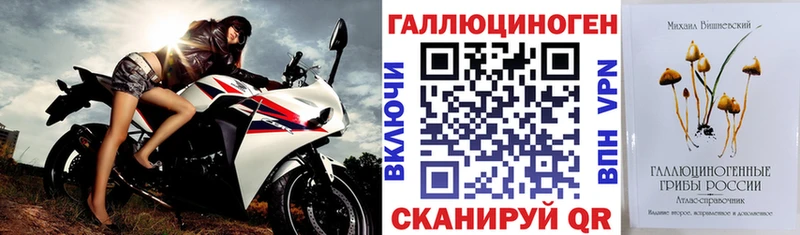 Купить  Чишмы  Псилоцибиновые грибы Psilocybe 